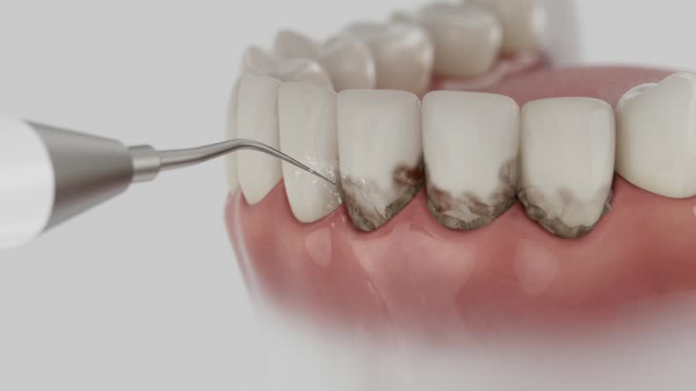 Reliable Dental contractor in Champlin, MN by Dentist Open Now